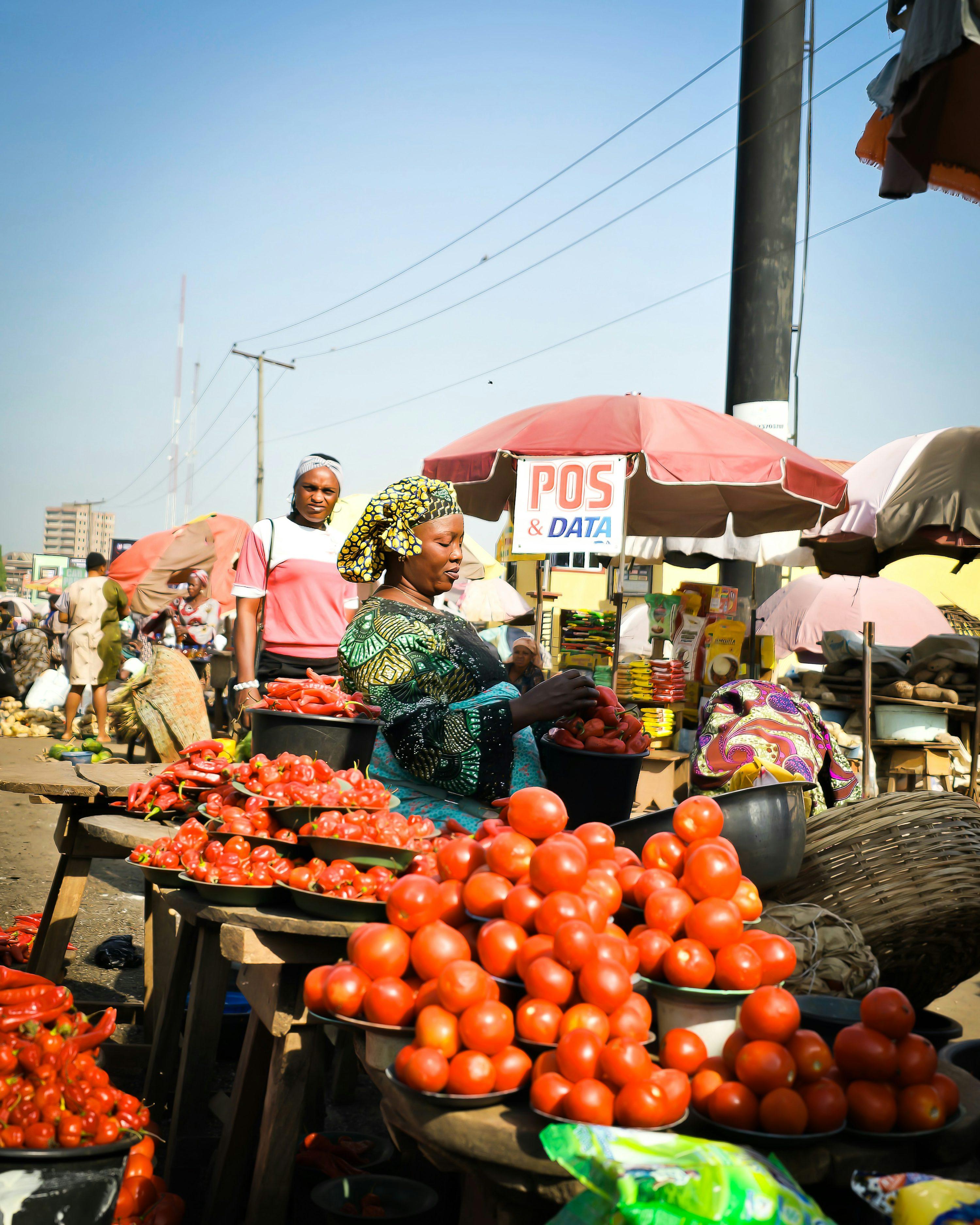 Sourcing fresh produce at Bodija Market